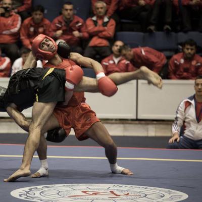 Thomas Nguyen (en rouge) pendant le Championnat du monde de Sanda 2014.