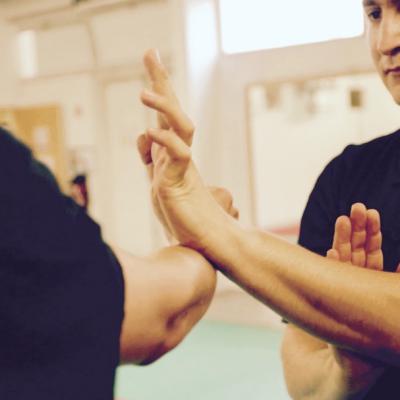 Wing chun, Aurélien Bedin.