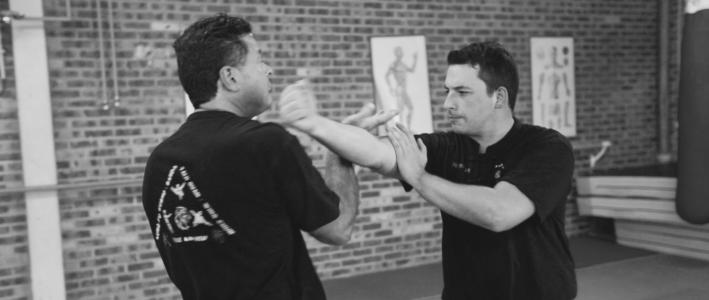 Entrainement de wing chun, Frédéric Bensimon et Nicolas Arnaud.