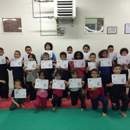Remise de diplôme de la ceinture blanche enfants (saison 2014-2015).