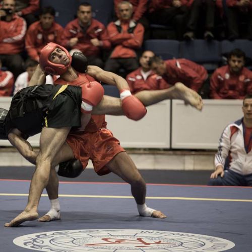 Thomas Nguyen (en rouge) pendant le Championnat du monde de Sanda 2014.